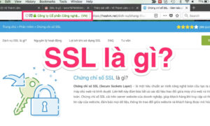 SSL là gì? Cách hoạt động của SSL và ứng dụng